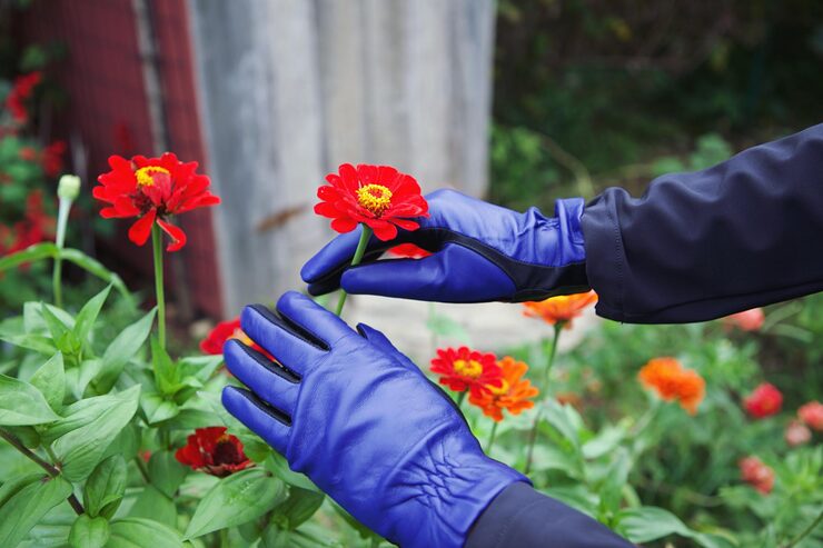 How to Wear Garden Gloves