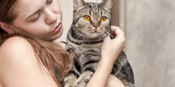 8 Cat Care Secrets Every Pet Parent Should Know