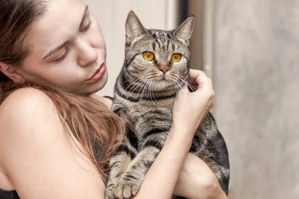 8 Cat Care Secrets Every Pet Parent Should Know