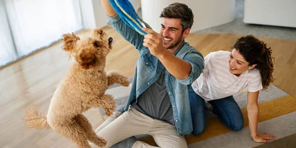 9 Fun Indoor Games to Keep Your Pet Active