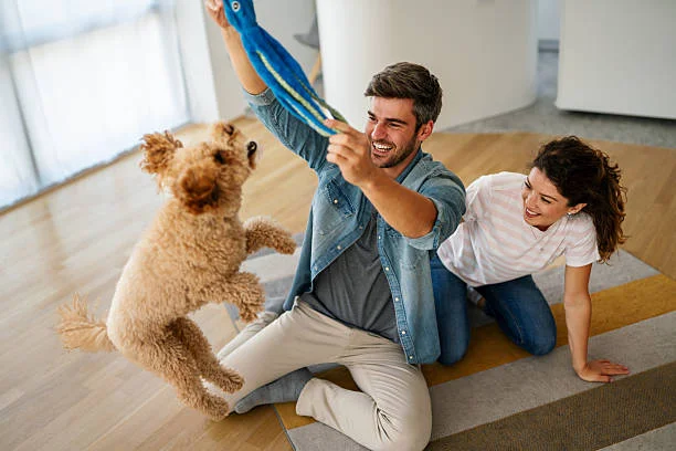 9 Fun Indoor Games to Keep Your Pet Active