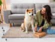 Smart Pet Feeders Every Busy Owner Will Love
