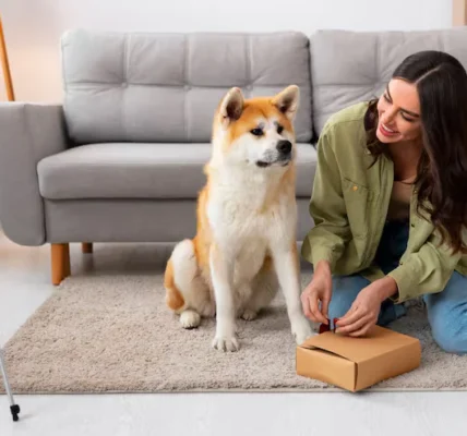Smart Pet Feeders Every Busy Owner Will Love
