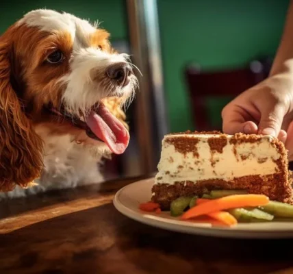 7 Healthy Foods You Can Safely Share With Your Dog