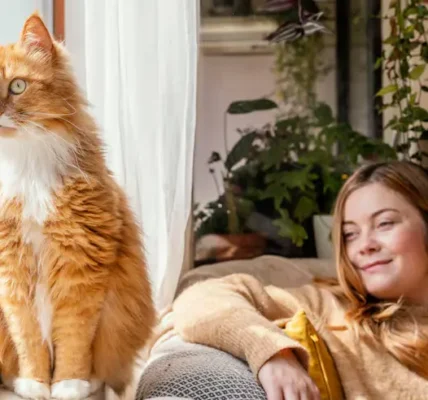 10 Signs Your Cat Is Healthier Than You Think