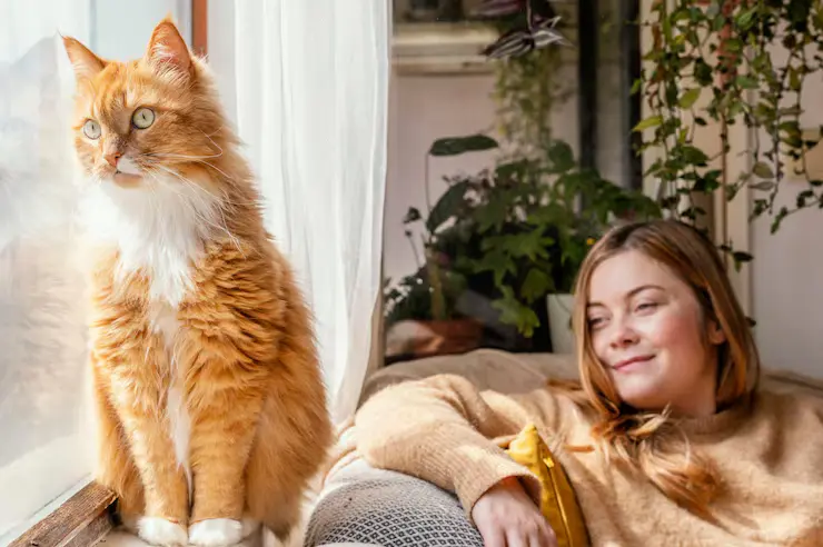 10 Signs Your Cat Is Healthier Than You Think