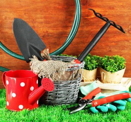 Gardening Tools Every Beginner Should Own in 2025