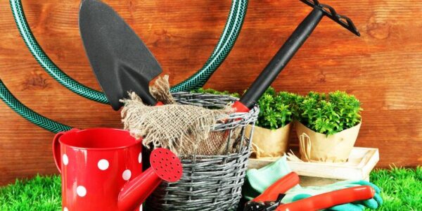 Gardening Tools Every Beginner Should Own in 2025