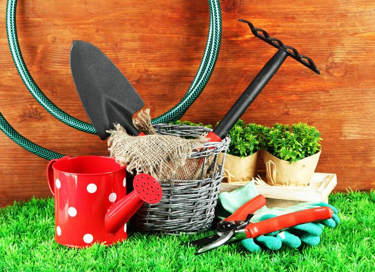 Gardening Tools Every Beginner Should Own in 2025