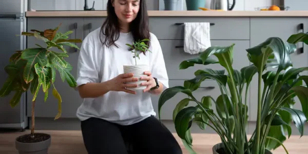 Indoor Plants That Improve Air Quality Naturally