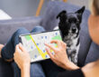 Best GPS Trackers to Keep Your Pets Safe