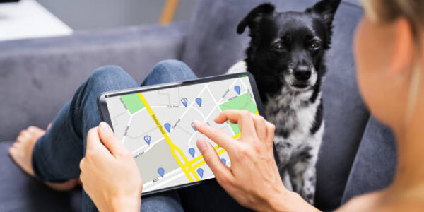 Best GPS Trackers to Keep Your Pets Safe