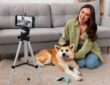 Fun Apps to Train and Entertain Your Dog