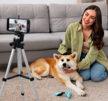 Fun Apps to Train and Entertain Your Dog