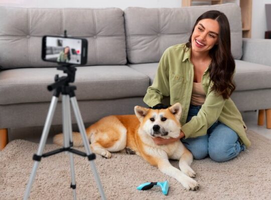 Fun Apps to Train and Entertain Your Dog