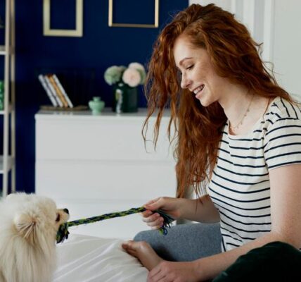 How Smart Collars Are Changing Pet Care