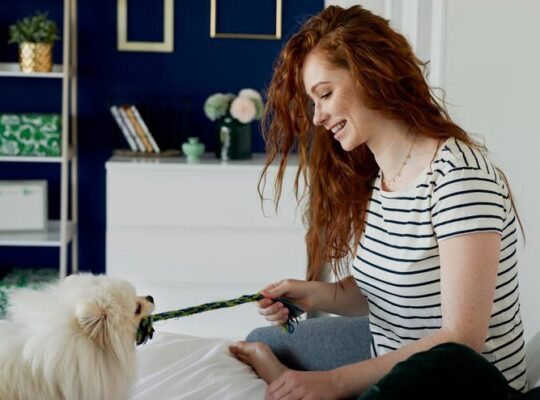 How Smart Collars Are Changing Pet Care