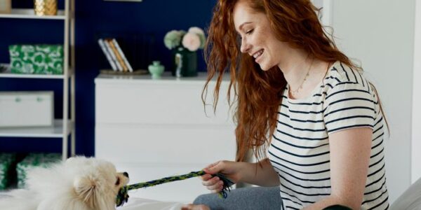 How Smart Collars Are Changing Pet Care