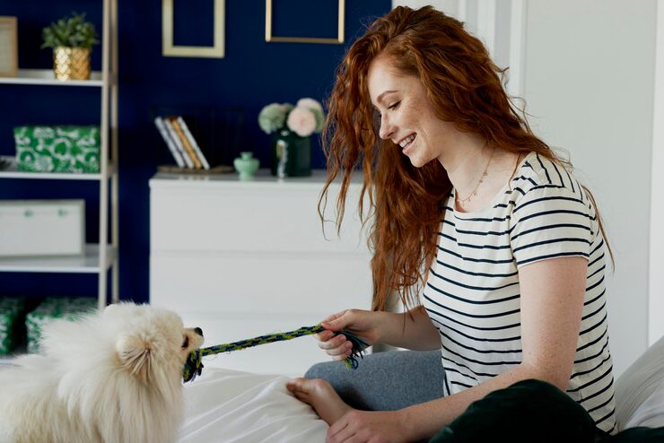 How Smart Collars Are Changing Pet Care